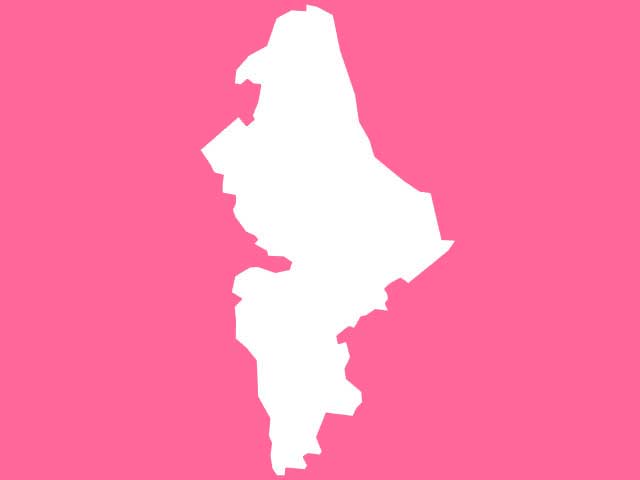 Nuevo Leon